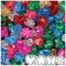 BeadTin Classic Sparkle Mix 13mm Small Shape Mix Plastic Pony Beads (4oz)